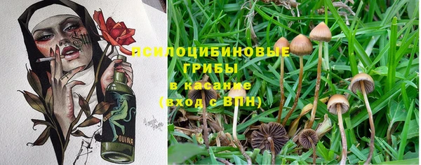 гашишное масло Алзамай