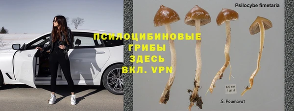 a pvp Алексеевка