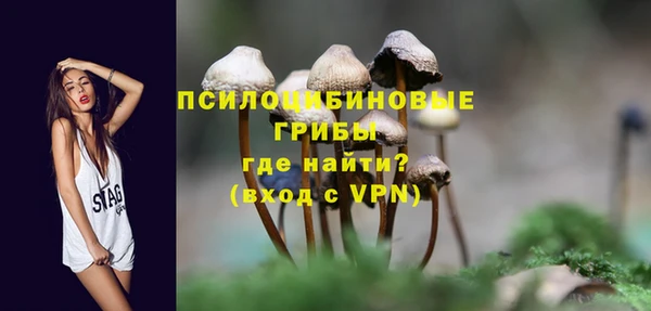 a pvp Алексеевка