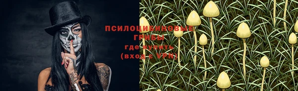 a pvp Алексеевка