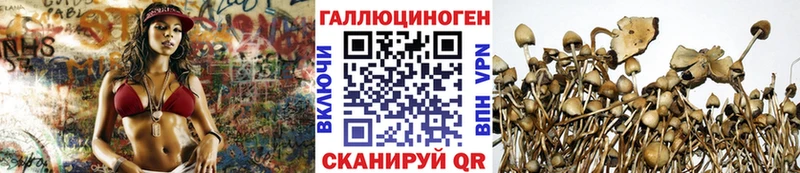 Псилоцибиновые грибы GOLDEN TEACHER  Ярцево 